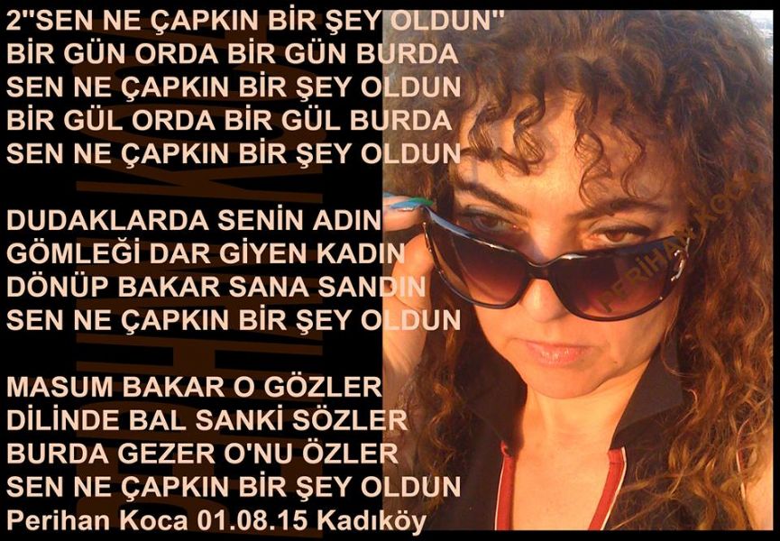 SEN NE ÇAPKIN BİR ŞEY OLDUN 2